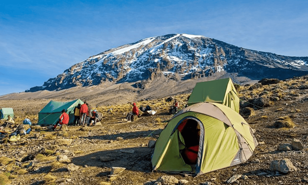 Kilimanjaro Climbing Club Personalized Kilimanjaro trekking service