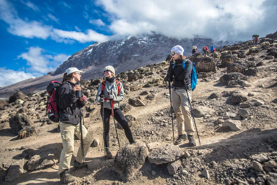 Lemosho vs Machame Route: Which Kilimanjaro Trail Is Best for You?