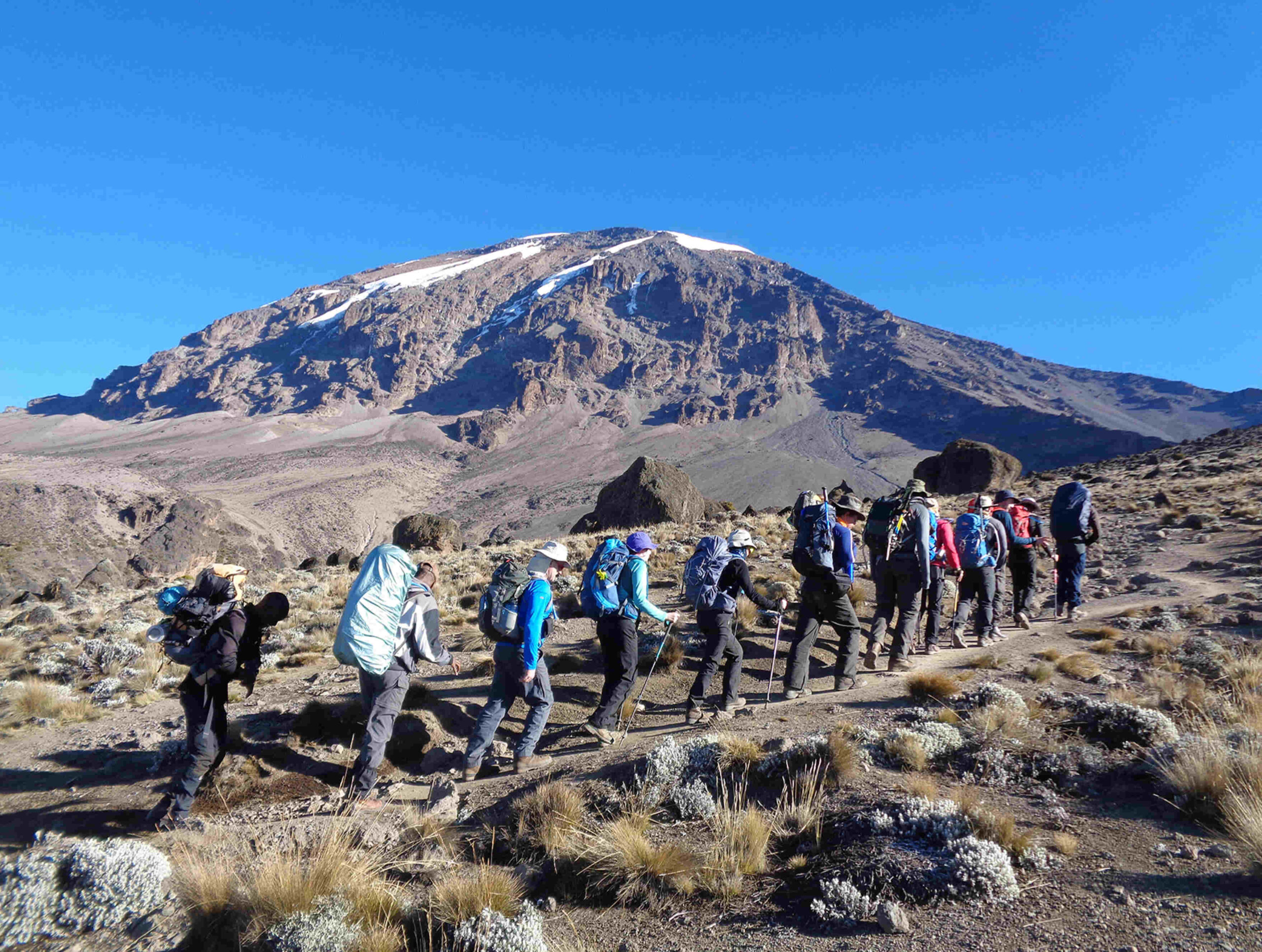Is Climbing Kilimanjaro Safe Complete Trek Safety Guide | KILIMINJARO CLIMBING CLUB