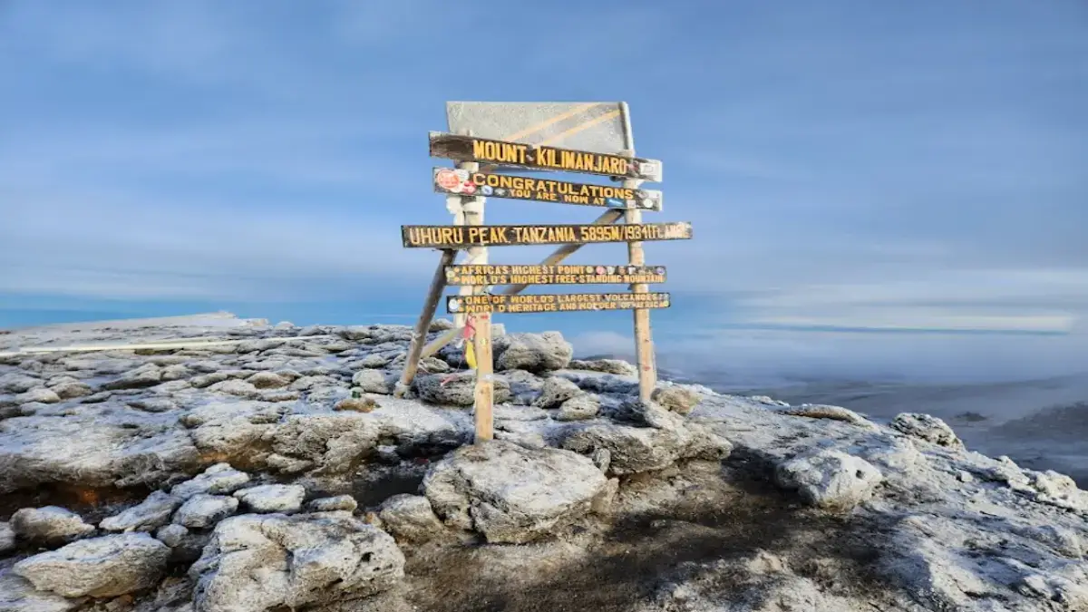 Kilimanjaro Success Rate Guide (2026 Data): Which Route Gives You the Best Chance to Summit?