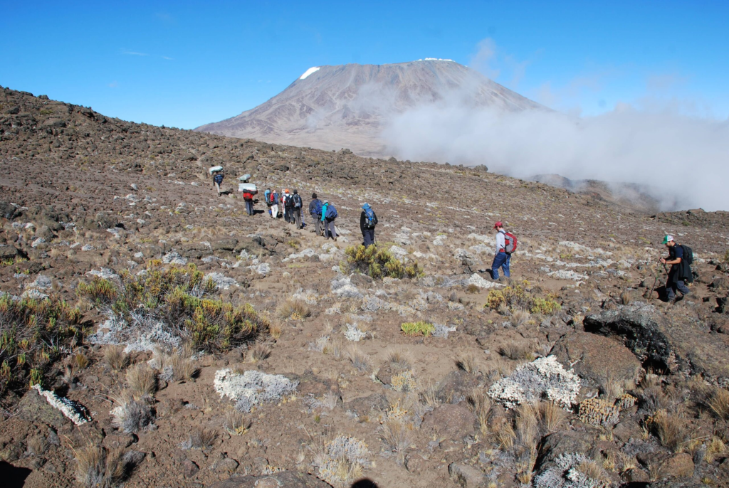 Rongai Route Overview Is It the Right Choice for You | KILIMINJARO CLIMBING CLUB