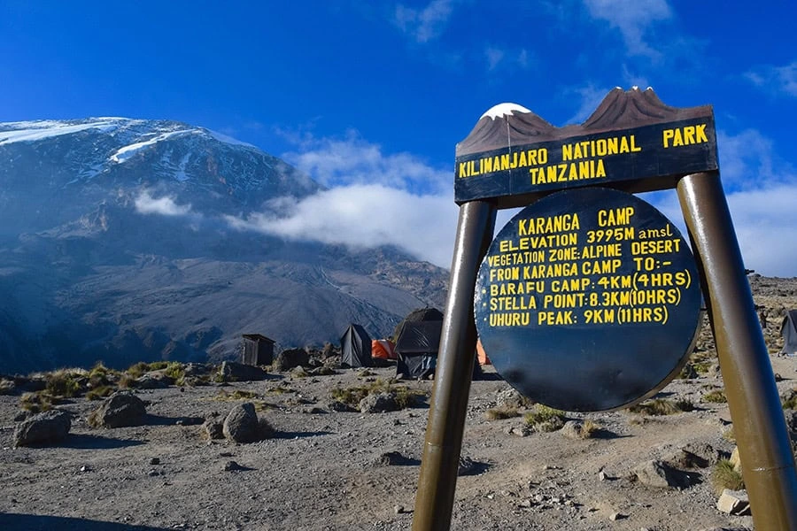 Kilimanjaro Day-by-Day Itineraries: A Complete 2026 Guide