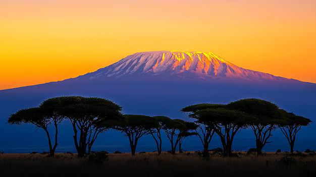 Tanzania Visa Guide for Kilimanjaro Climbers