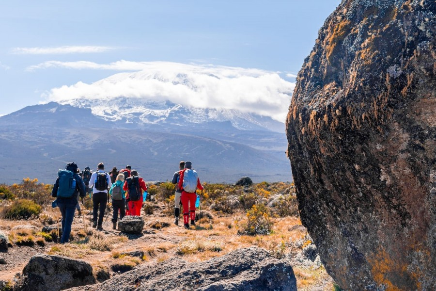 Cost of Climbing Kilimanjaro  Full 2026 Price Guide | KILIMINJARO CLIMBING CLUB