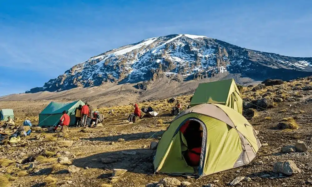 Kilimanjaro Climbing Club Personalized Kilimanjaro trekking service | KILIMINJARO CLIMBING CLUB