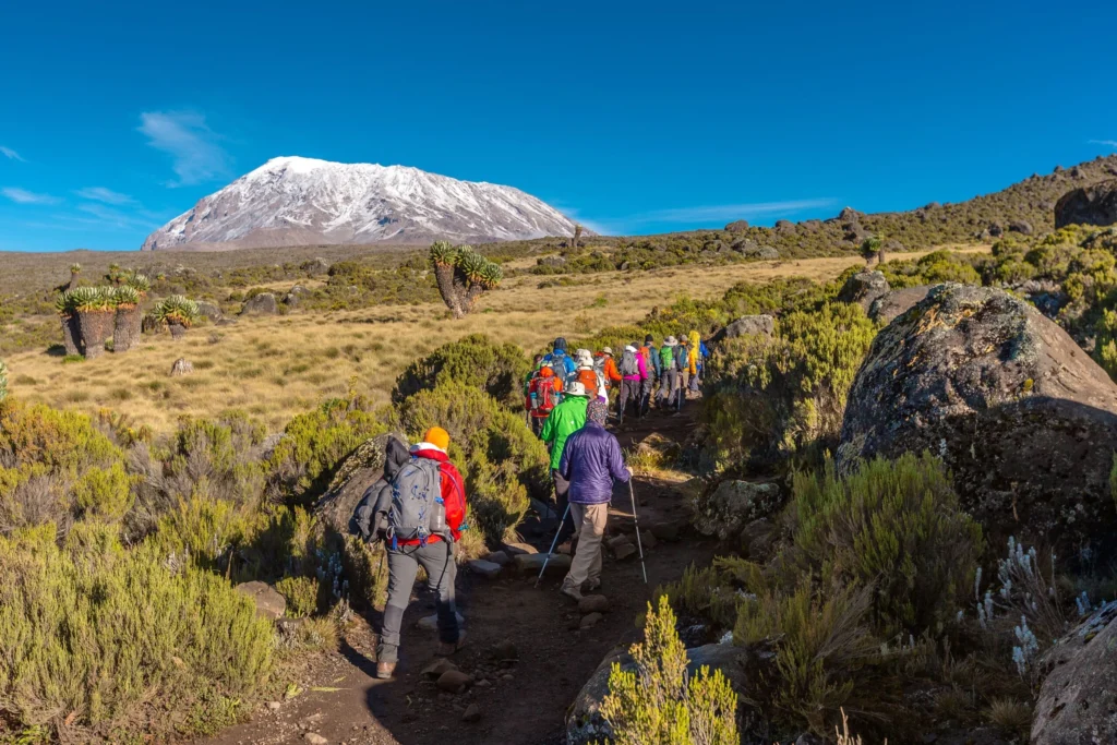 Easiest and Hardest Kilimanjaro Routes Ranked 2026 Guide | KILIMINJARO CLIMBING CLUB
