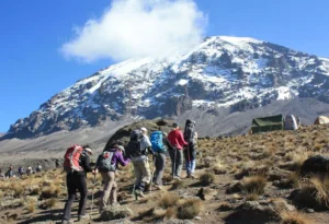 Which Kilimanjaro Route Is Best for Acclimatization 2026 Guide | KILIMINJARO CLIMBING CLUB