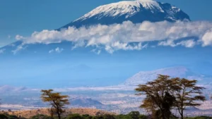 Behind the Scenes How Our Crew Supports Your Climb | KILIMINJARO CLIMBING CLUB