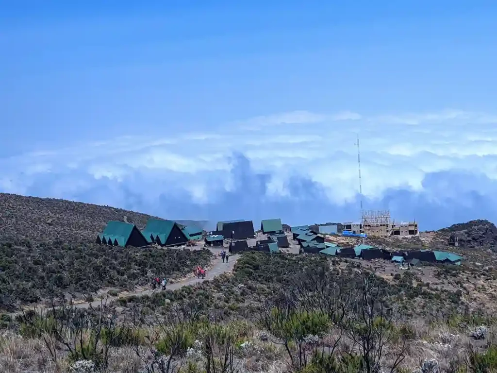 Kilimanjaro Climbing Club | KILIMINJARO CLIMBING CLUB