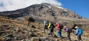 Why Acclimatization Is the Key to Kilimanjaro Success | KILIMINJARO CLIMBING CLUB