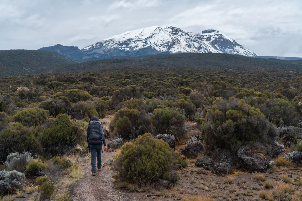 How to Plan Your Kilimanjaro Climb in 2026 Step by Step Guide | KILIMINJARO CLIMBING CLUB