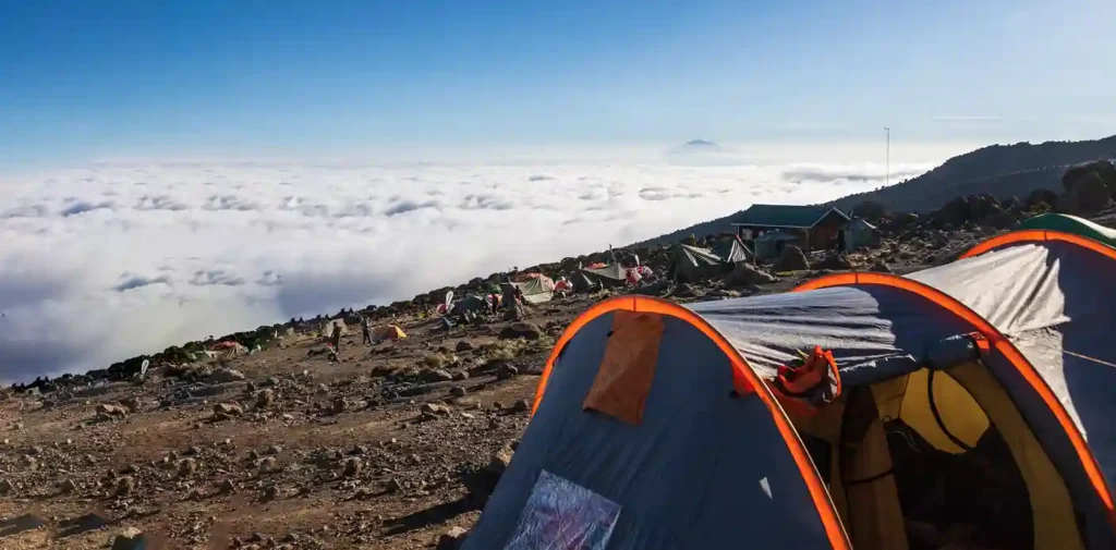 Why Cheap Kilimanjaro Treks Are Dangerous Avoid These Risks | KILIMINJARO CLIMBING CLUB