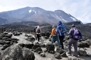 Best Routes for Private or Family Treks on Kilimanjaro Safe Scenic  Flexible  2026 Guide | KILIMINJARO CLIMBING CLUB