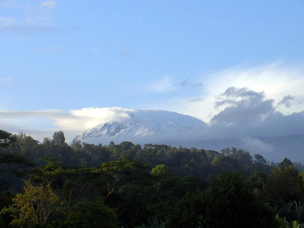 Marangu vs Machame Route Which Is Better for Kilimanjaro Climbers 2026 | KILIMINJARO CLIMBING CLUB