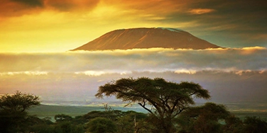 Kilimanjaro Climbing Club | KILIMANJARO CLIMBING CLUB