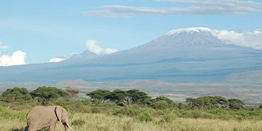 Kilimanjaro Climbing Club | KILIMANJARO CLIMBING CLUB